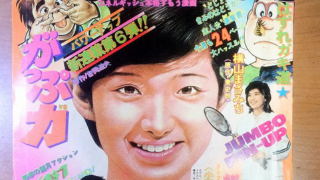 Thumbnail of post image 066